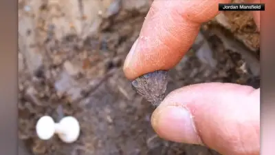 Study finds humans were making fire 400,000 years ago, far earlier than once thought