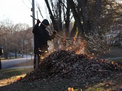 Ask the gardener: Your questions about ‘Leaving the Leaves’ answered