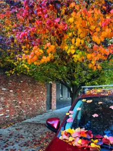 SS US’ downward progress; Cooking up success; I-95 closures | Morning Roundup