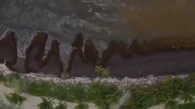 Scientists say a record amount of seaweed hit the Caribbean and nearby areas in May