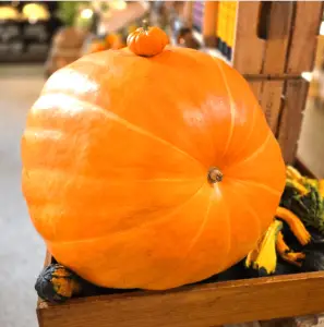 Center City update; Good deeds in Germantown; Supremes’ visits | Morning roundup