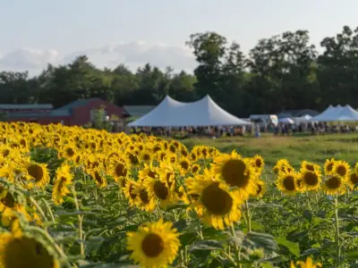 The best places to visit before summer’s over