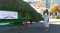 Melania Trump welcomes Christmas tree to the White House