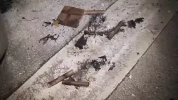 23-year-old loses index finger after firework blows up in his hand in Miami